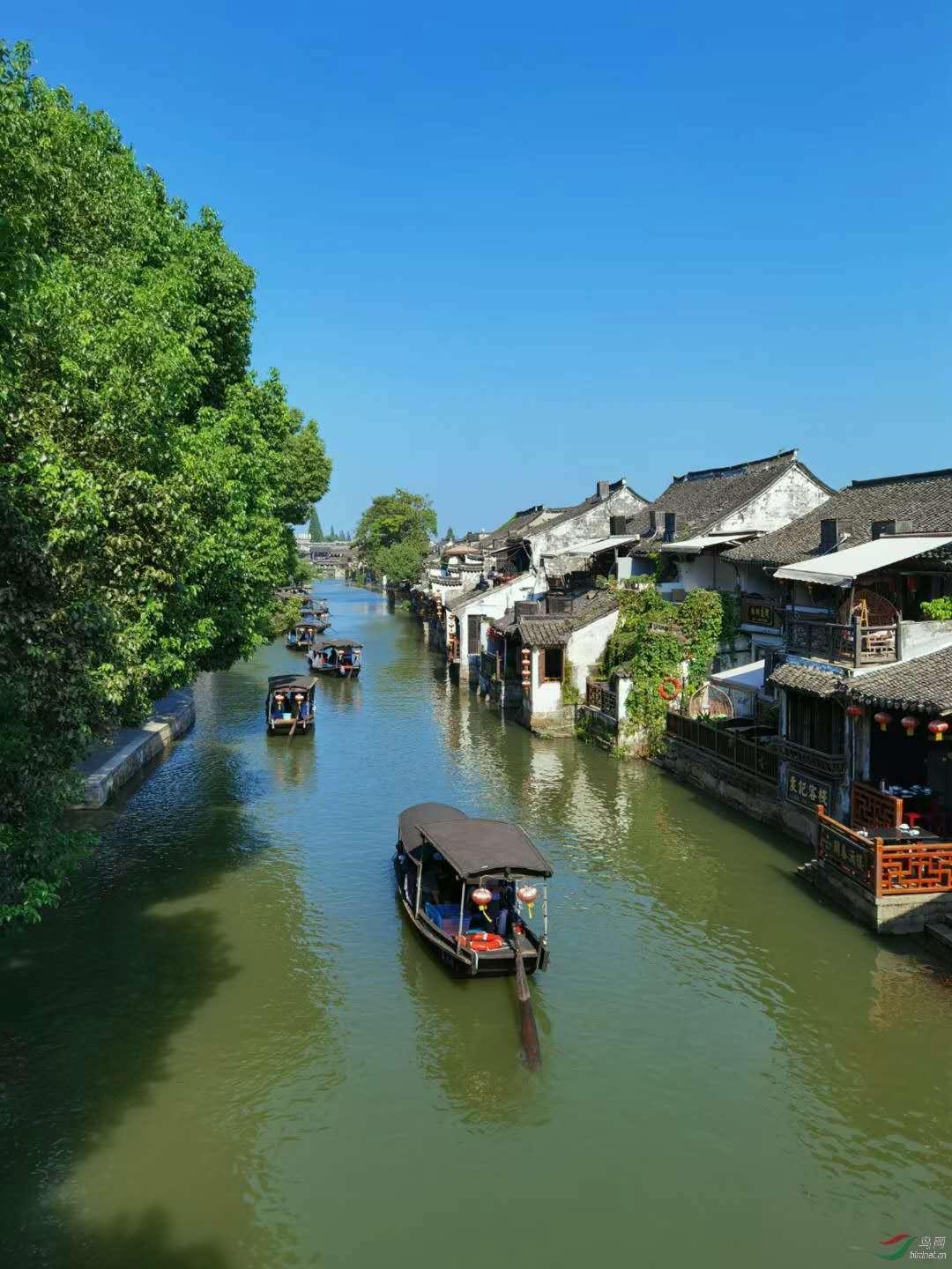 原住民老人救援